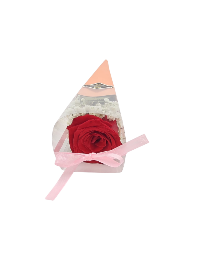 Lolita redo