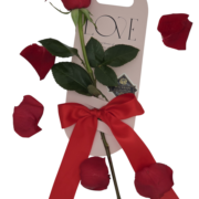 Single stem wrapped $25 xcd_$10 usd