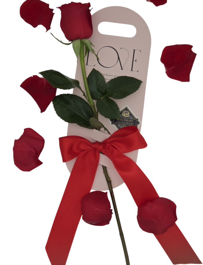 Single stem wrapped $25 xcd_$10 usd