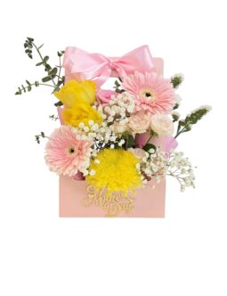 The Darling Bloom