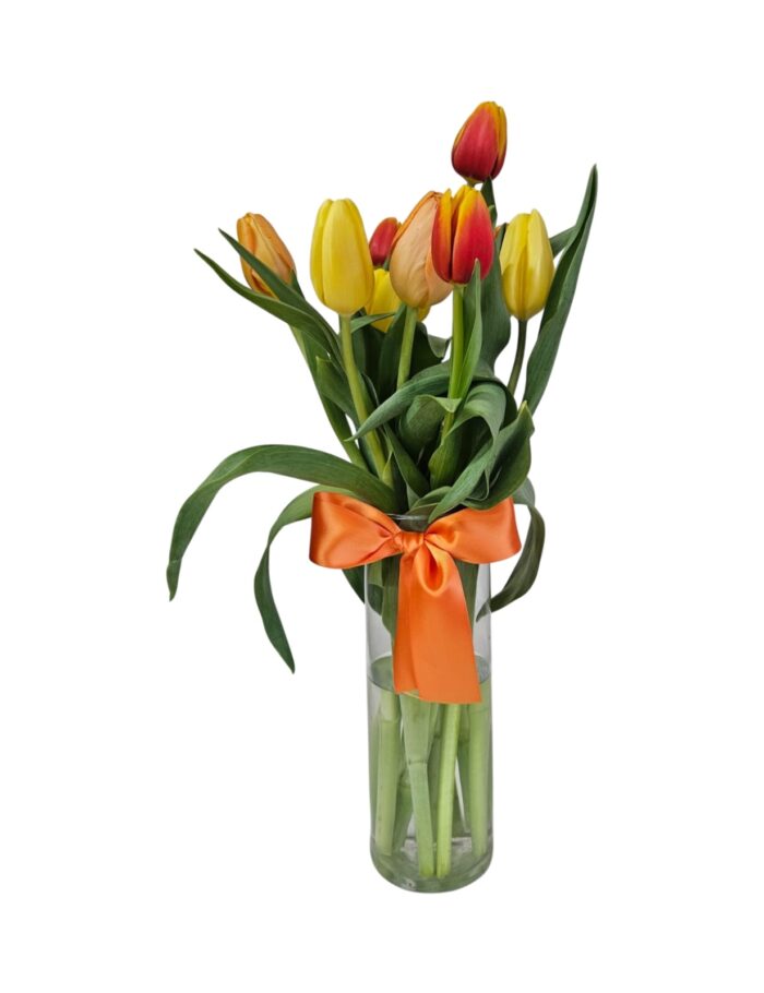 Golden Hour Tulips
